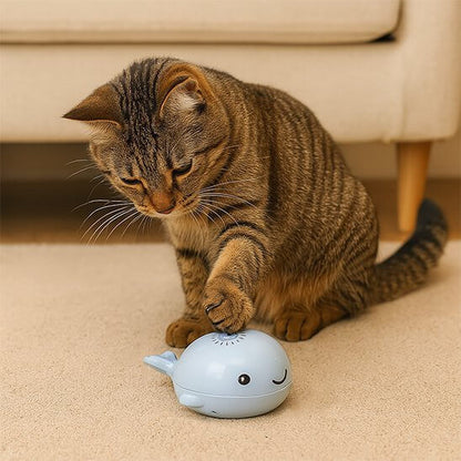 Jouet pour Chat Baleine bleue chat touche jouet