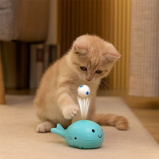 Jouet pour Chat Baleine bleue chaton emerveillé