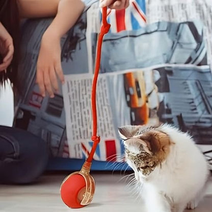 jouet pour chat balle rouge chat incité à jouer