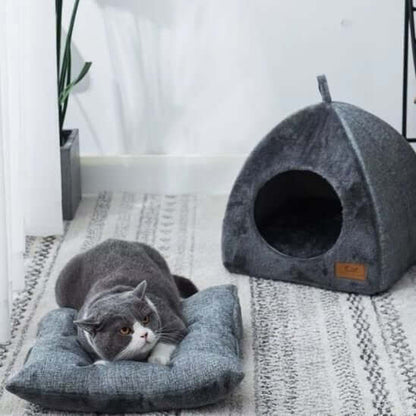 Lit chat gris chat repose sur coussin