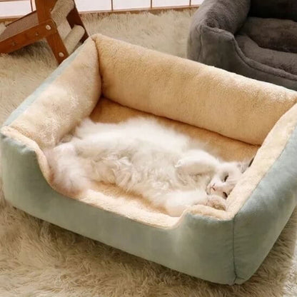 Lit chat vert chat assoupi