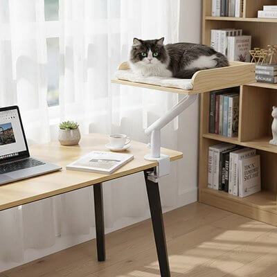 Lit pour Chat | Le Perchoir Complice™ - Transportdodochat