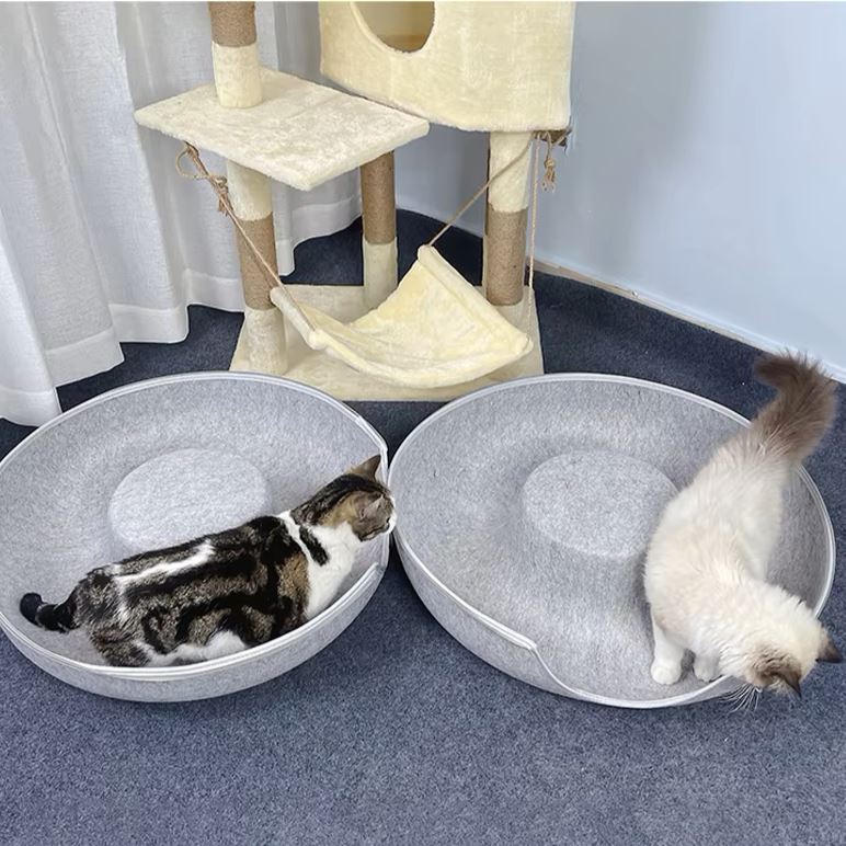 lit pour chat gris clair ouvert chats jouent