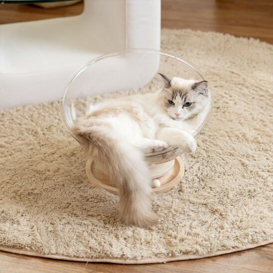 Lit pour chat semi fermé chat heureux