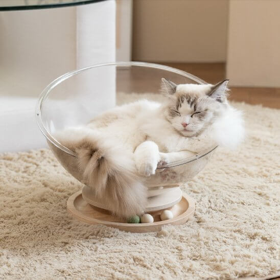 Lit pour chat transparent chat dort