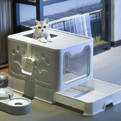 Litière bac chat beige chat debout