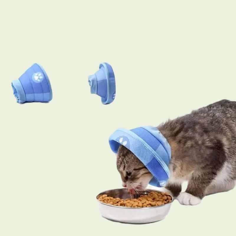 Collerette souple pour chat | Cocon de Guérison™ - Transportdodochat