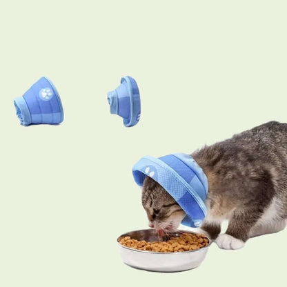 Collerette souple pour chat | Cocon de Guérison™ - Transportdodochat