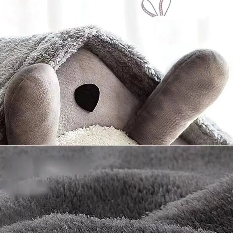 maison chat gris douillette