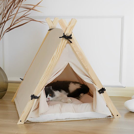 Niche chat Tipi chat détendu