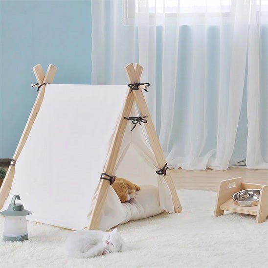 Niche chat tipi chat dort