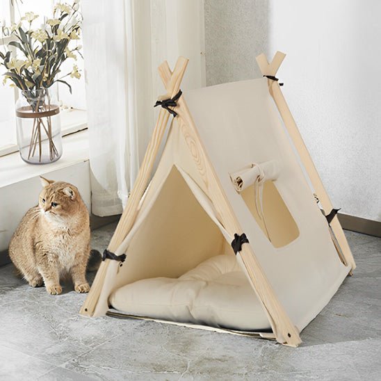 Niche chat tipi chat observe