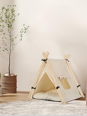 Niche chat tipi dans un décor