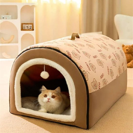 Panier chat brun chat curieux