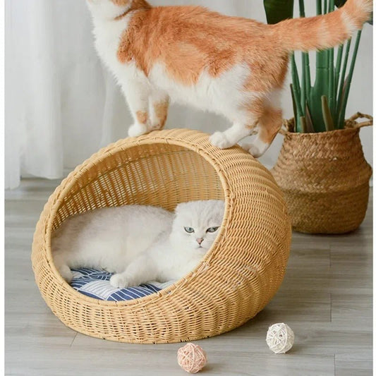 panier chat en osier chat jouant