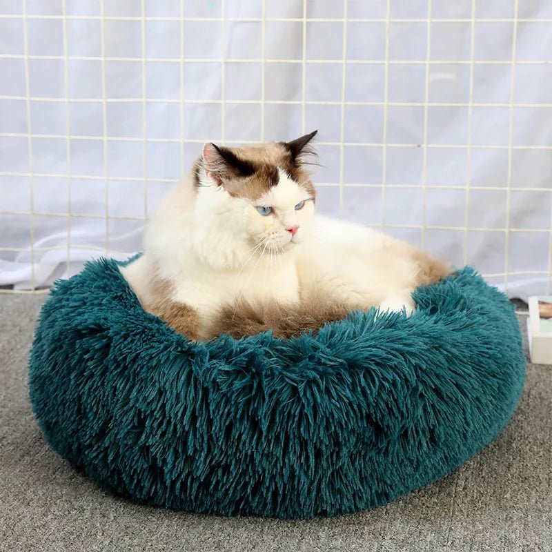 Panier chat - Nid de Mousse™ - Transportdodochat