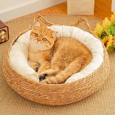 Panier osier Chat | Naturel Douillet - Transportdodochat