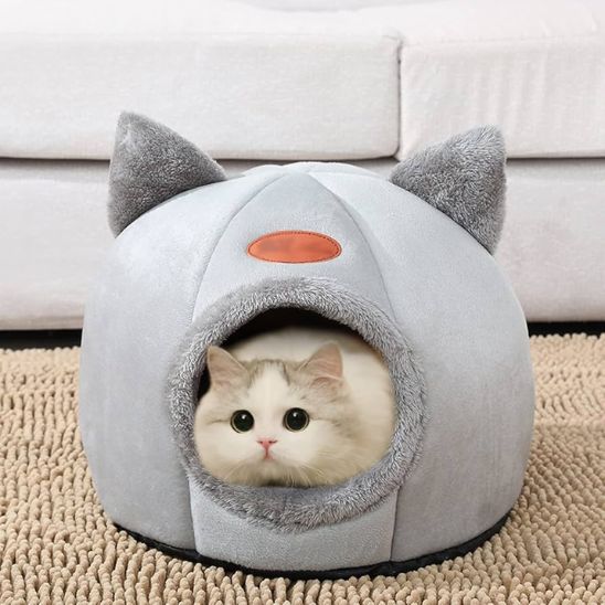 panier pour chat gris chat attentif
