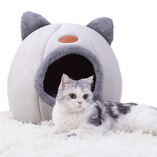 panier pour chat gris chat curieux