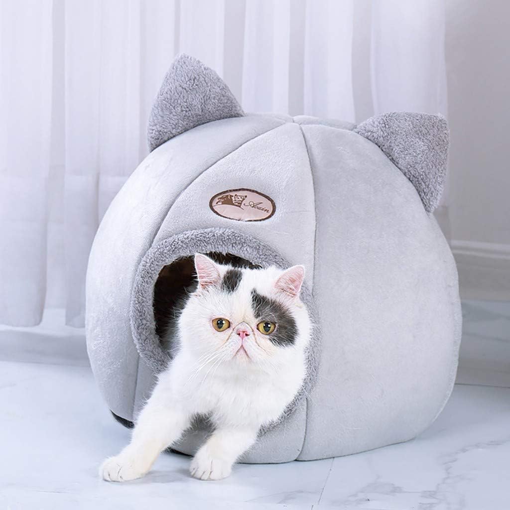 panier pour chat gris chat joue