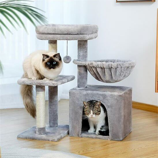 Petit arbre a chat | La Petite Tour des Moustaches™ - Transportdodochat