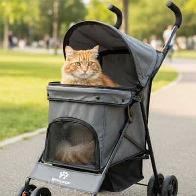 Poussette pour chat | Confort Sécurisé - Transportdodochat