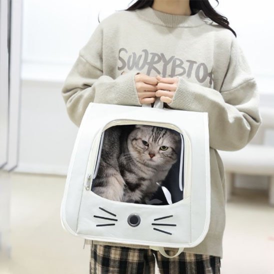 Sac a dos Chat blanc chat assis