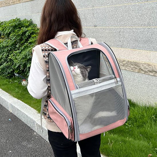 Sac a dos pour Chat rose chat confortable en balade