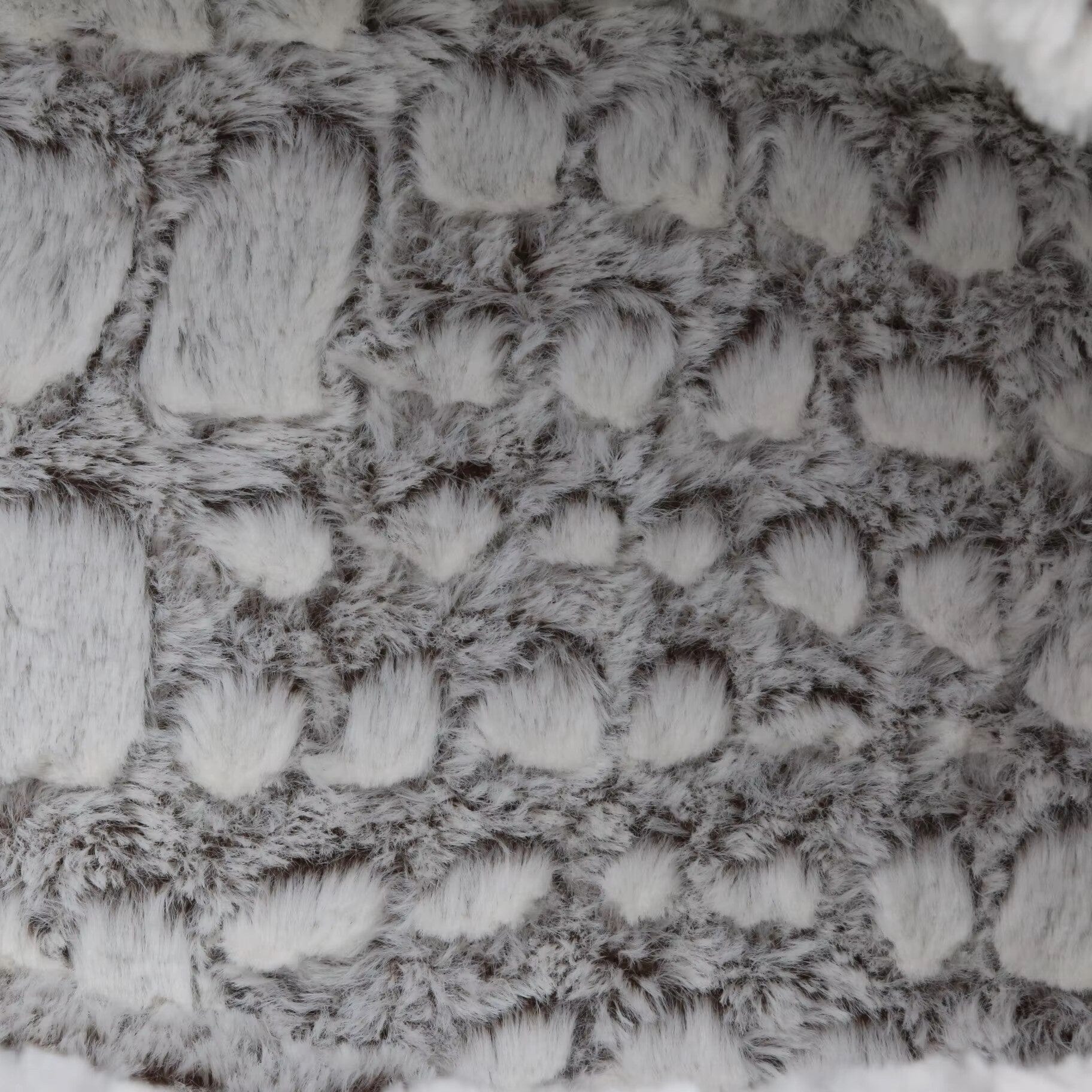 sac de transport chat argent détail confort