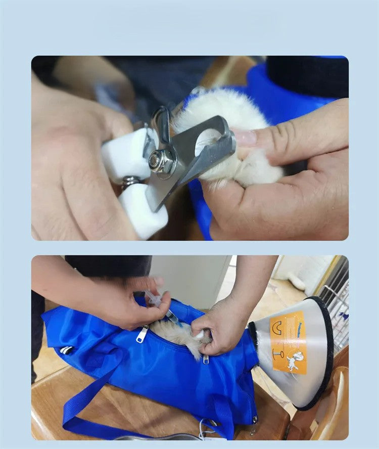 Sac de transport chat bleu usage divers