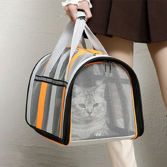 Sac de transport Chat orange port poignée
