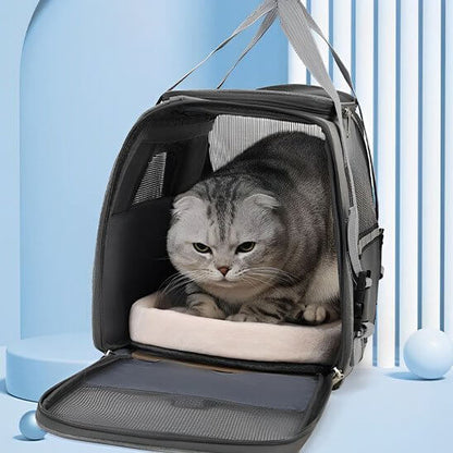 Sac de transport pour chat gris chat détendu