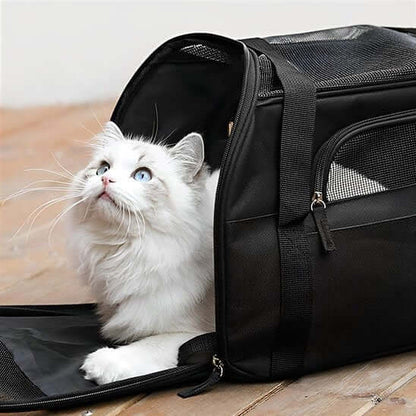Sac de transport pour chat noir chat surpris
