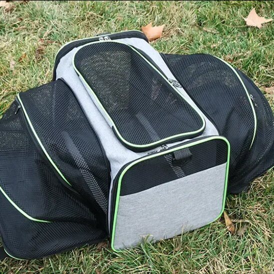 Sac de transport pour chat vert extensible