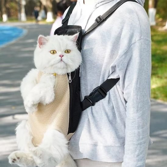 Sac transport chat | Sécurité Féline™ - Transportdodochat
