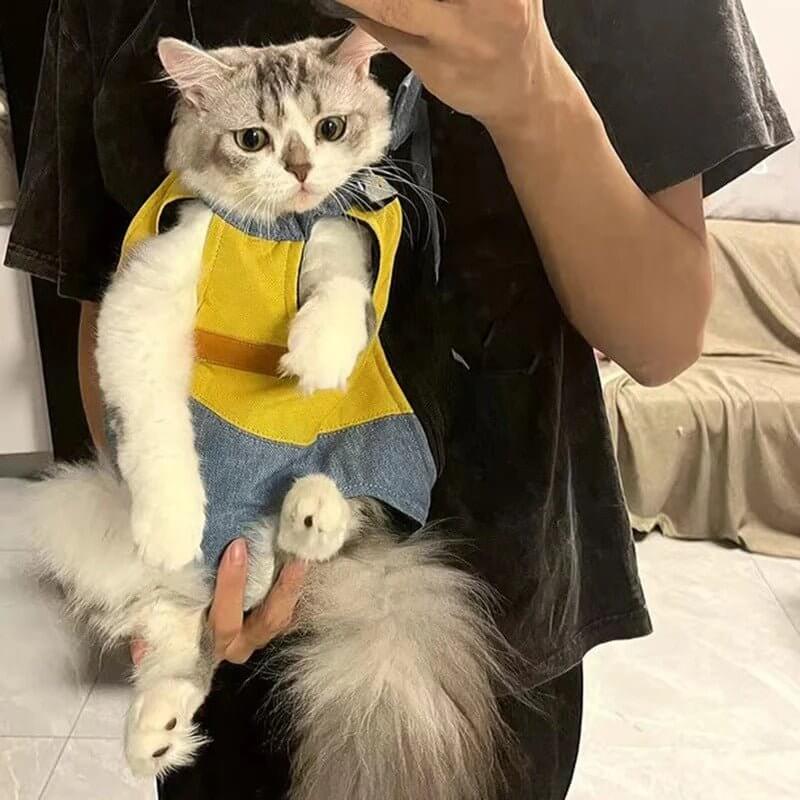 Sac transport chat jaune chat assis