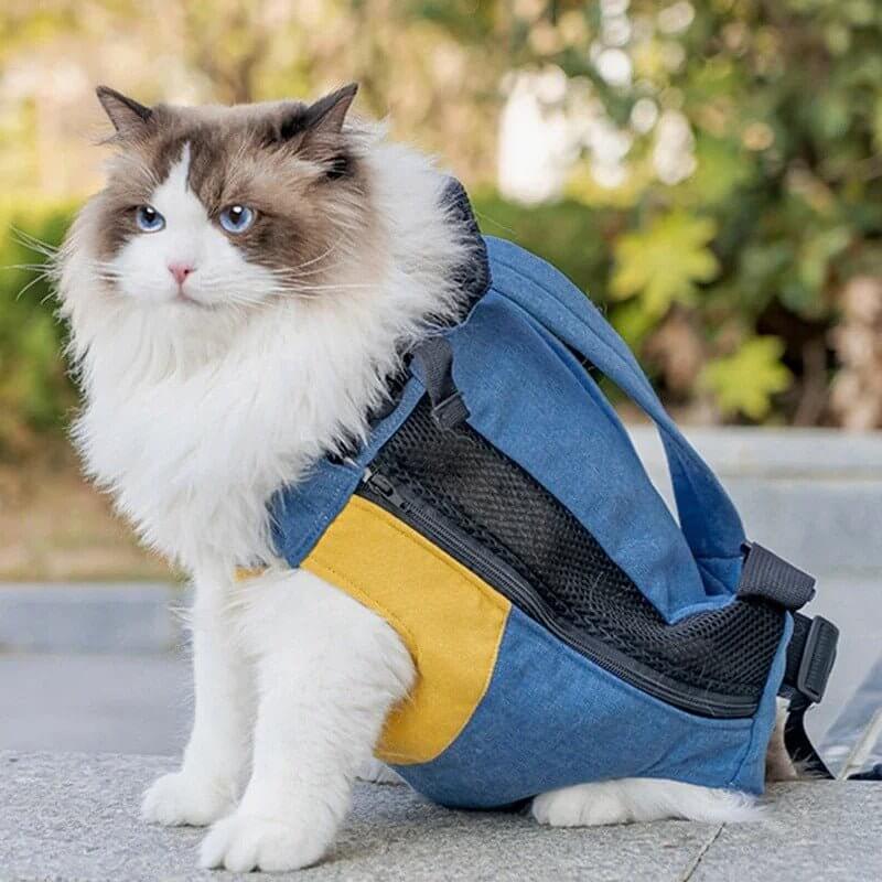 Sac transport chat jaune chat en balade