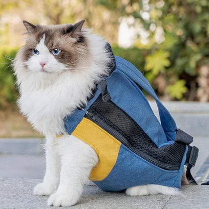 Sac transport chat jaune chat en balade