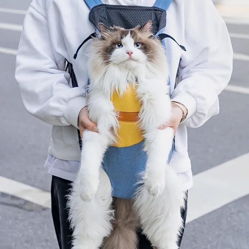 Sac transport chat jaune chat heureux