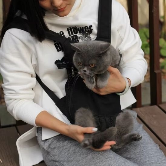 Sac transport chat | Sécurité Féline™ - Transportdodochat