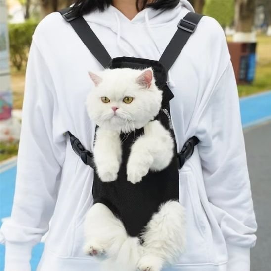 Sac transport chat | Sécurité Féline™ - Transportdodochat