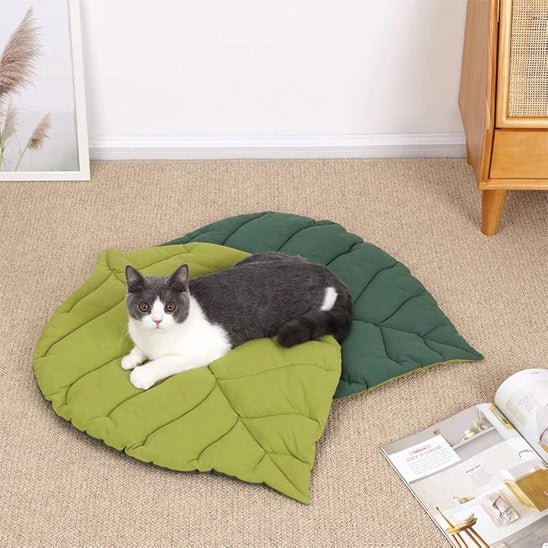 Tapis chat feuille vert chat heureux