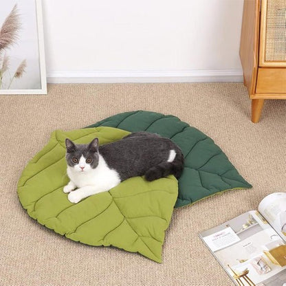 Tapis chat feuille vert chat heureux