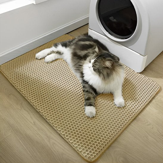 Tapis chat litière beige en usage