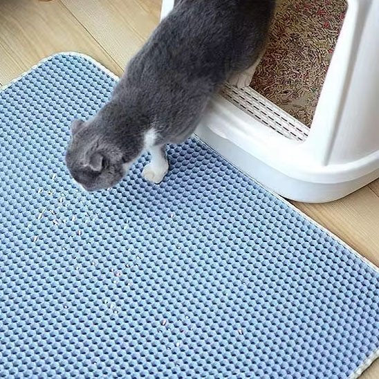 Tapis chat litière bleu chat sort de la litière