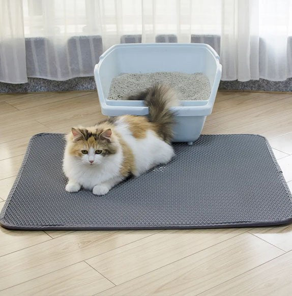 Tapis chat litière gris chat se repose