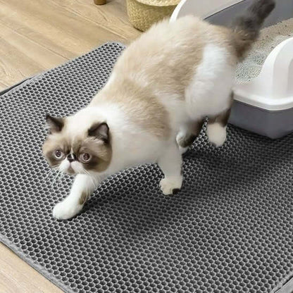 Tapis chat litière gris chat sort du bac