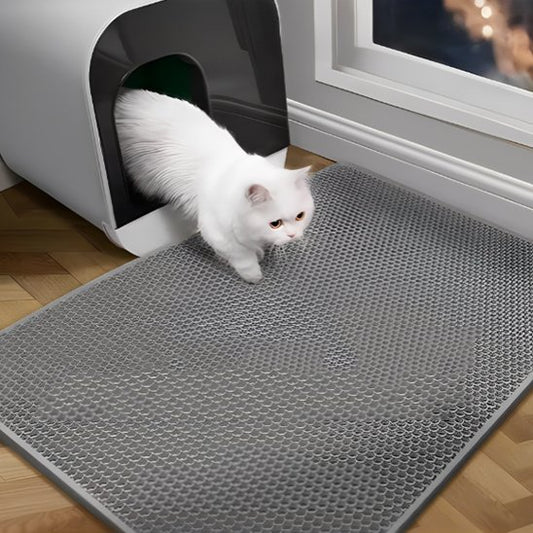 Tapis chat litière grise chat sort