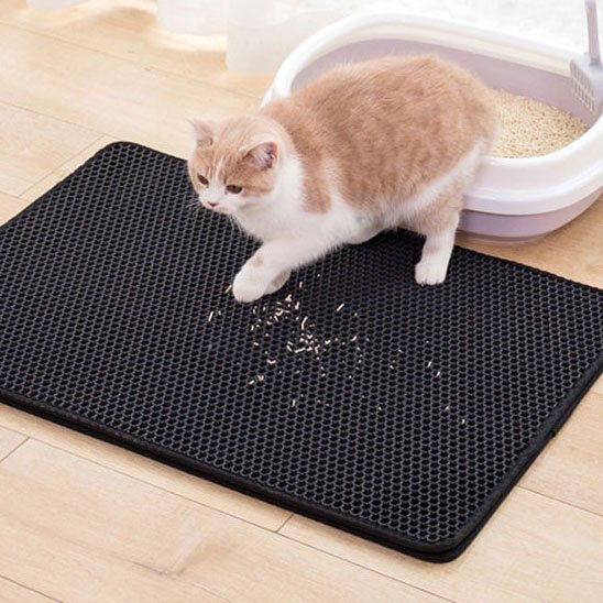 Tapis chat litière noir chat sort de la litière