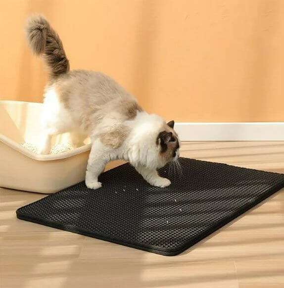 Tapis chat litière noir chat sort du bac
